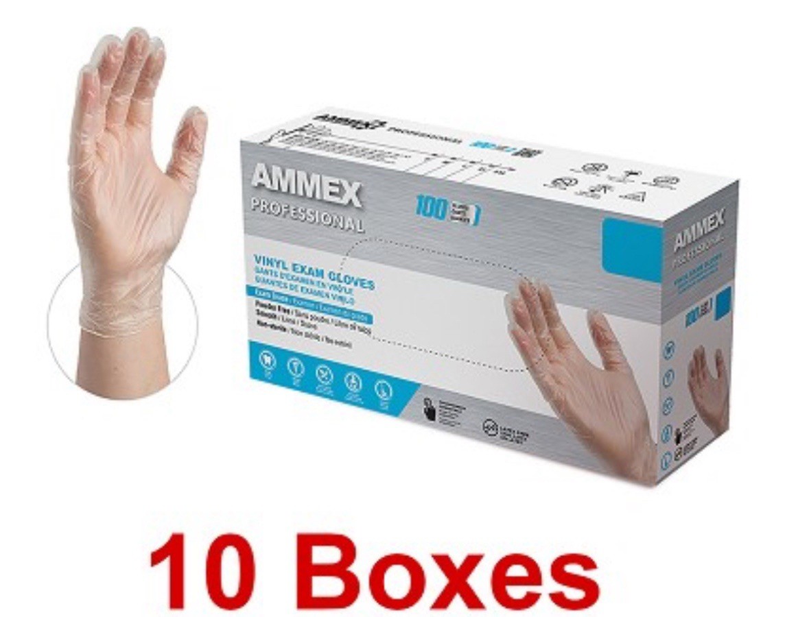 1000 (10 Boxes) AMMEX L Large Professional Vinyl Exam Gloves Protection Clinical