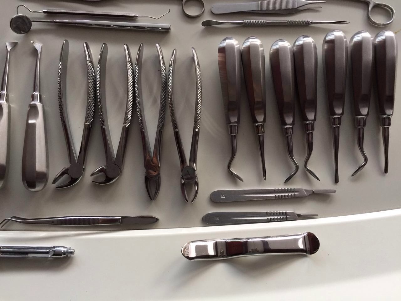 32 Pcs ORAL DENTAL EXTRACTION SURGERY EXTRACTING ELEVATORS FORCEPS INSTRUMENTS