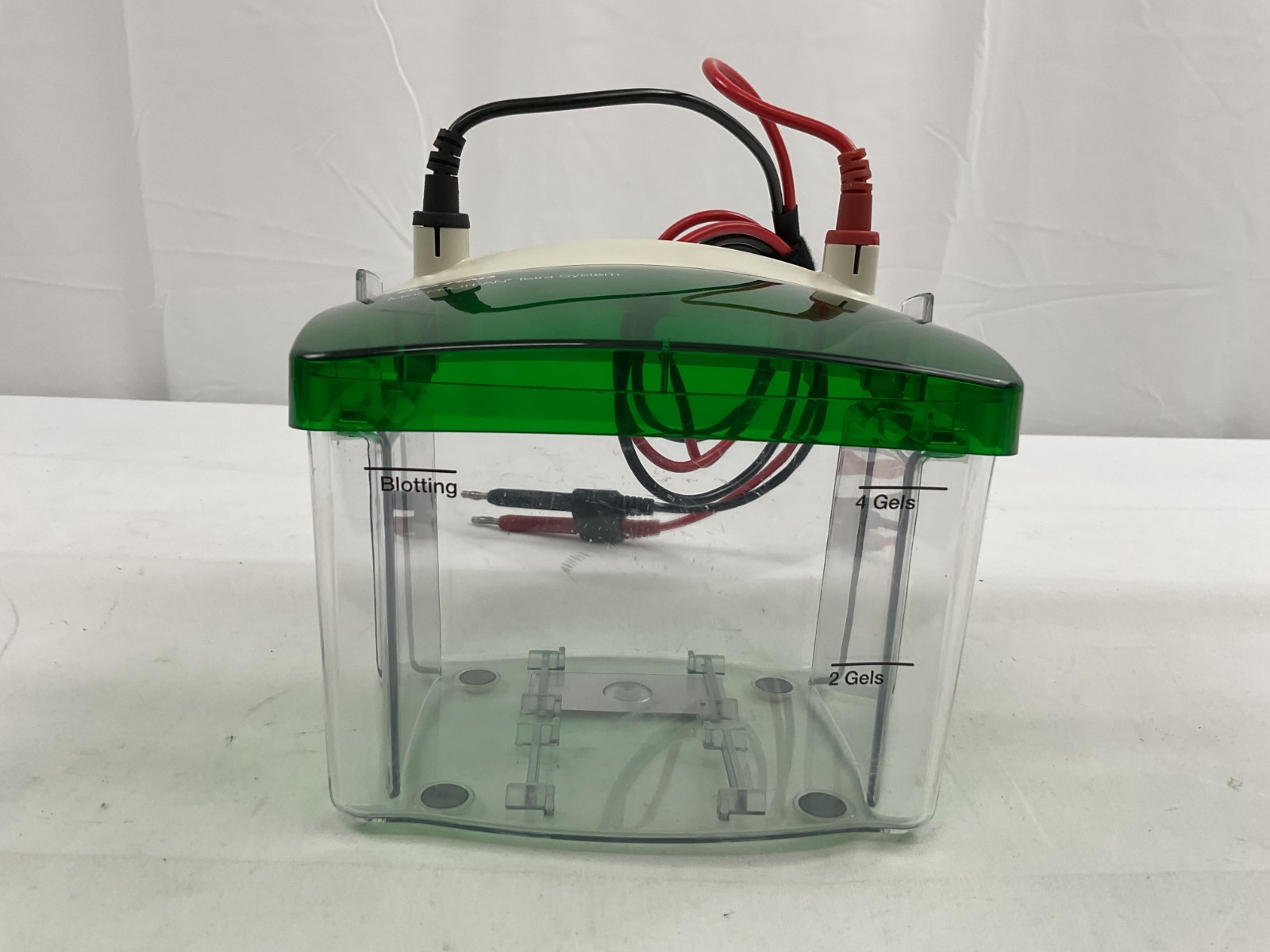 Bio-Rad Mini-PROTEAN Tetra Cell Electrophoresis System w/ Mini Trans-Blot