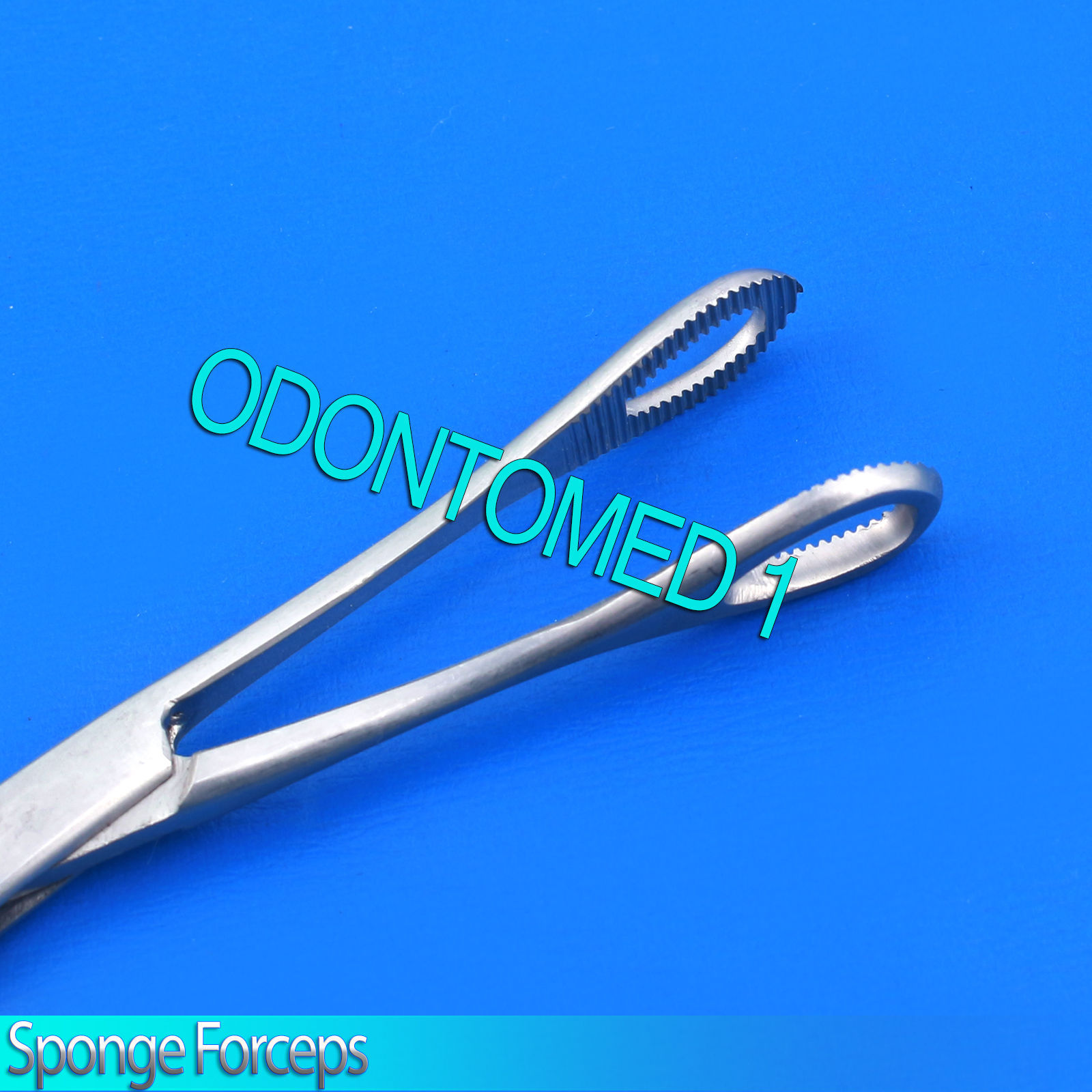 3 Sponge Holding Forceps Straight 6″ Surgical Instruments