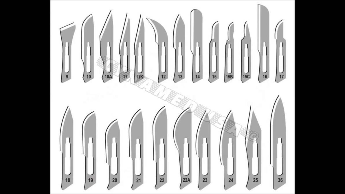 SET OF 200 STERILE SURGICAL BLADE #10 #11 #15 #15C #20 #21 #22 #23+ 2 HANDLE
