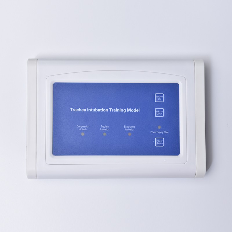 Electronic Model for Endotracheal Intubation Training and Teaching 110V-220V