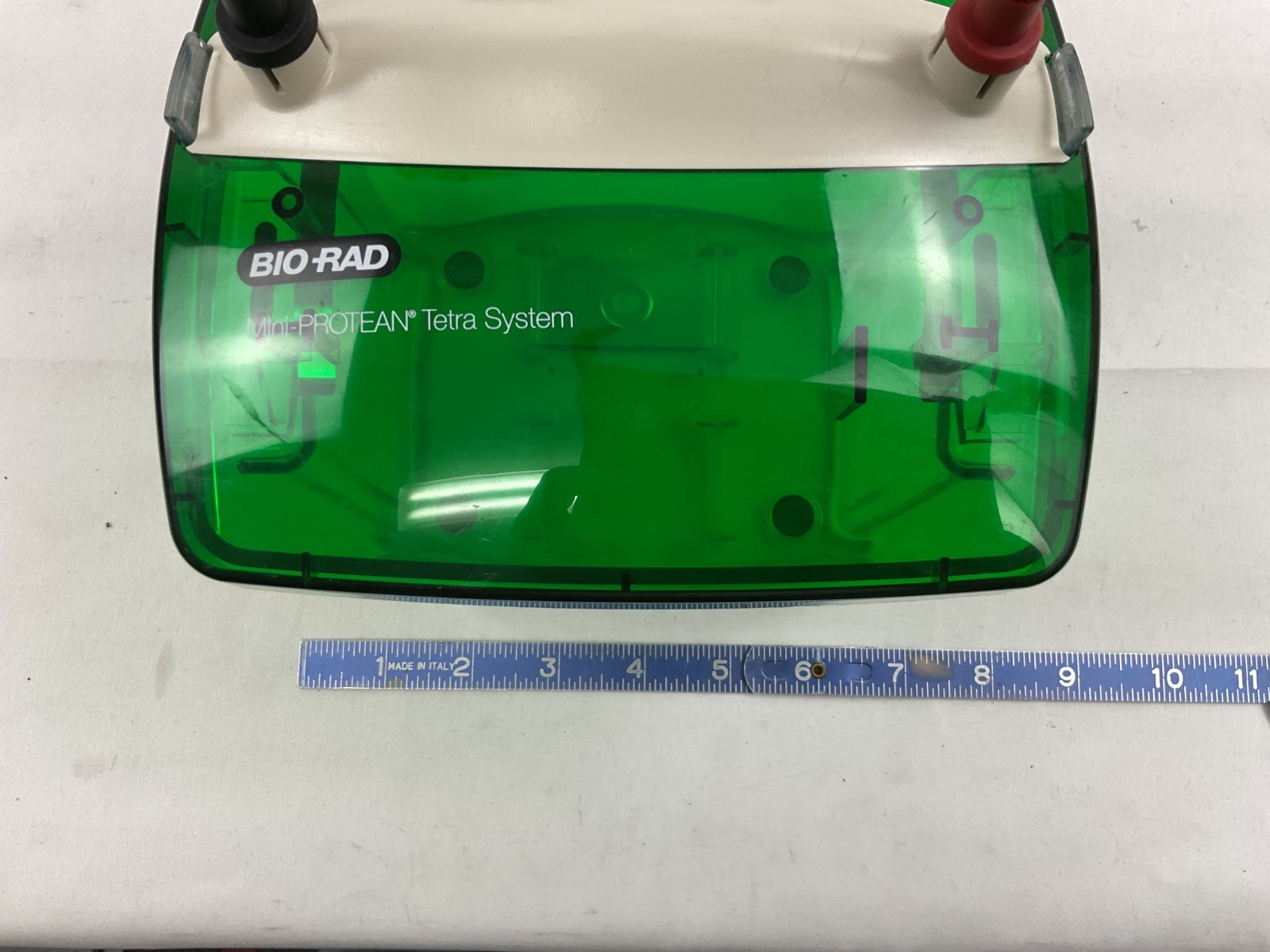 Bio-Rad Mini-PROTEAN Tetra Cell Electrophoresis System w/ Mini Trans-Blot