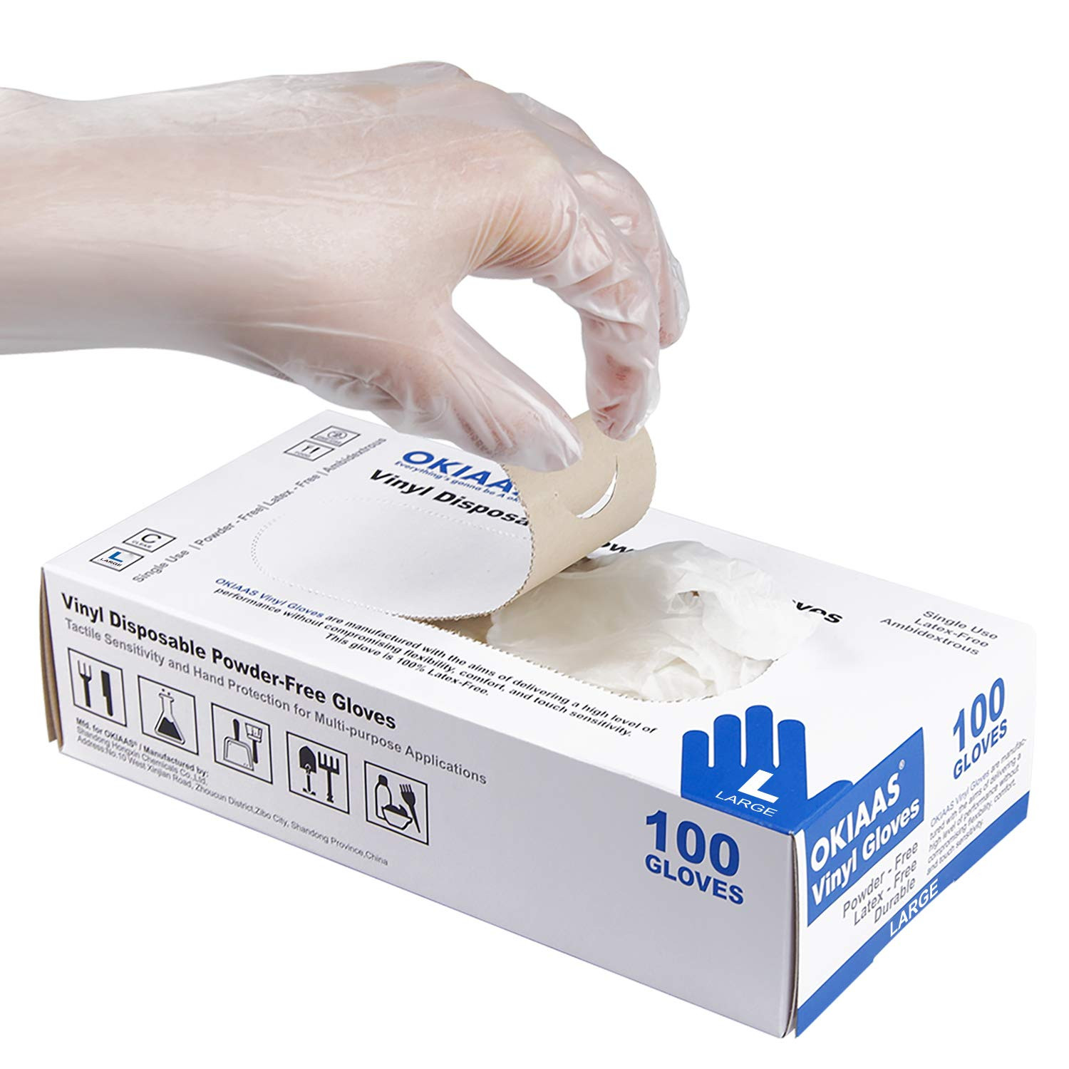 Disposable Gloves L, Food Safe| Latex-Free and Powder-Free Clear Vinyl Gloves fo