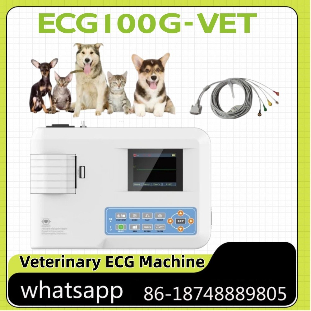 Introduction ECG100G-VET is a kind of single channel electrocardiograph, which