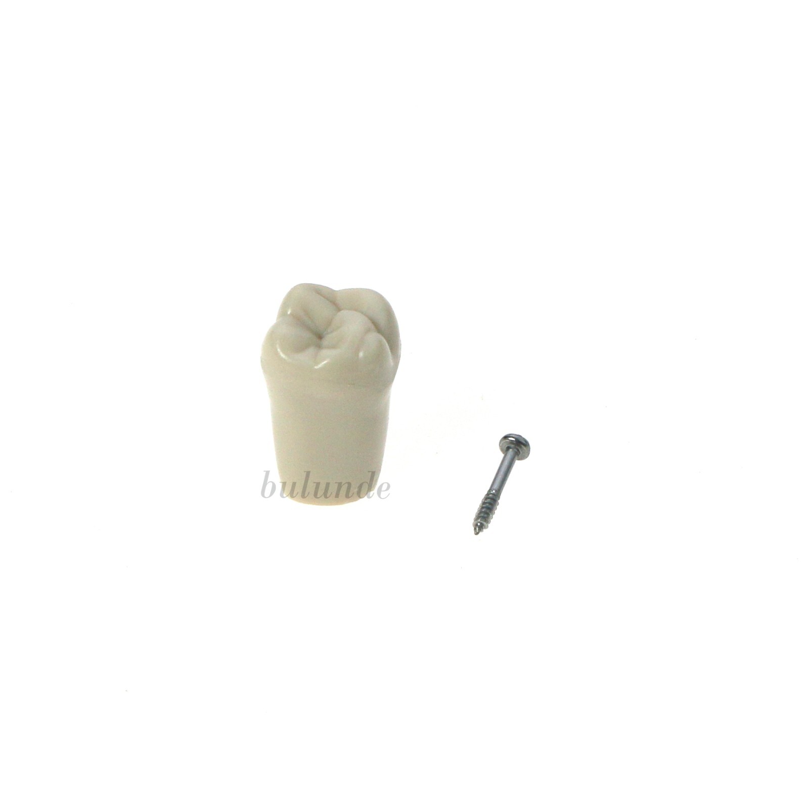 Columbia Dentoform 860 Dental Typodont 32PCS Teeth Replacement Removable