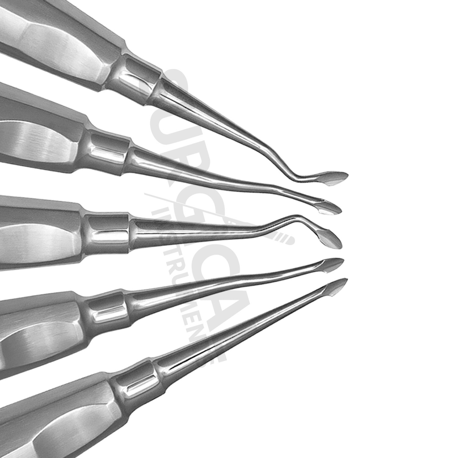 5 Pcs SPADE Concave Elevators Dental Surgical Instruments Stainless German Grade