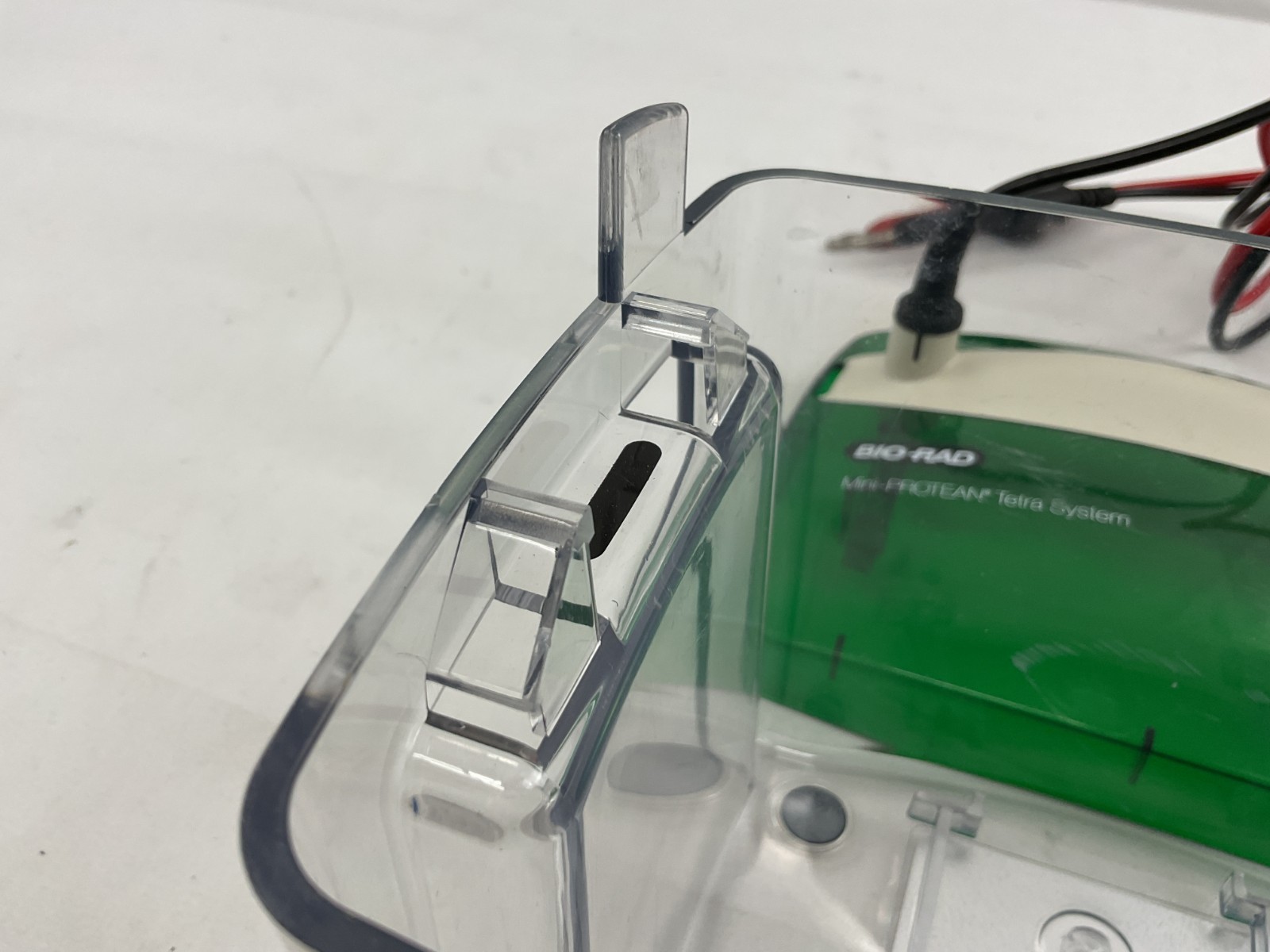 Bio-Rad Mini-PROTEAN Tetra Cell Electrophoresis System w/ Mini Trans-Blot