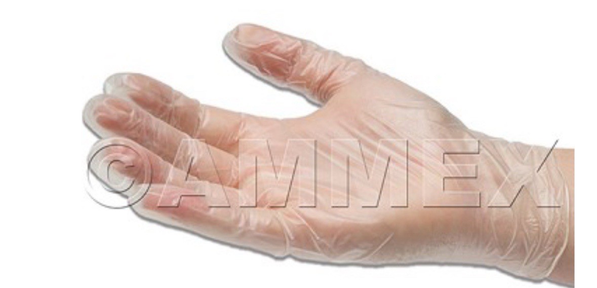 1000 (10 Boxes) AMMEX L Large Professional Vinyl Exam Gloves Protection Clinical