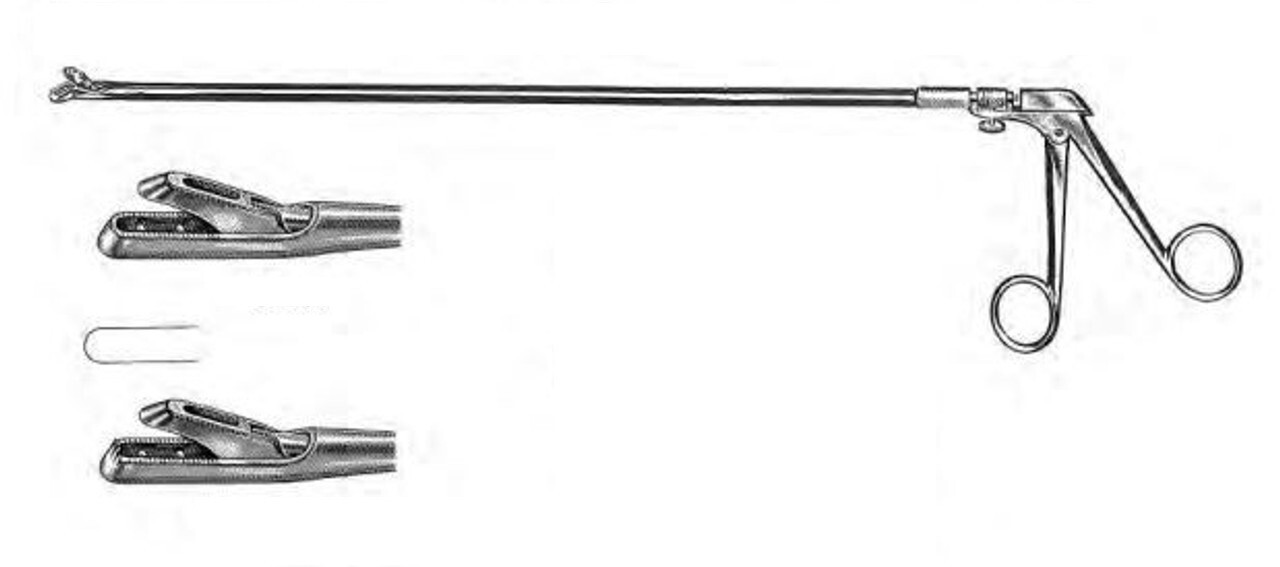 Yeoman Biopsy Forceps, 15″, Straight Basket, 3.5 x 10mm Bite, Scissor Ring Hndle