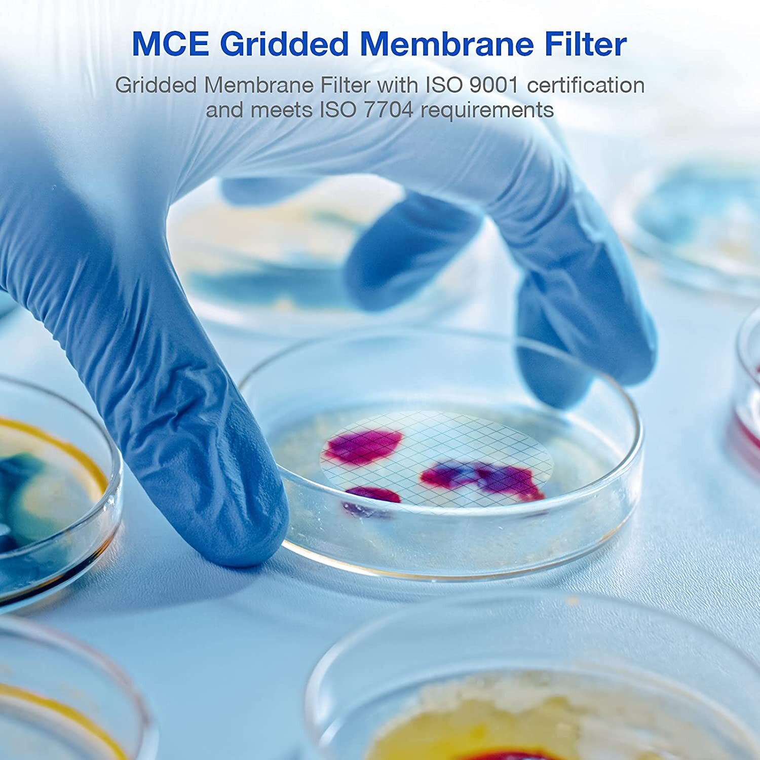 Simpure MCE Gridded Membrane Filter 47mm 0.45μm Sterile Mix Cellulose Ester
