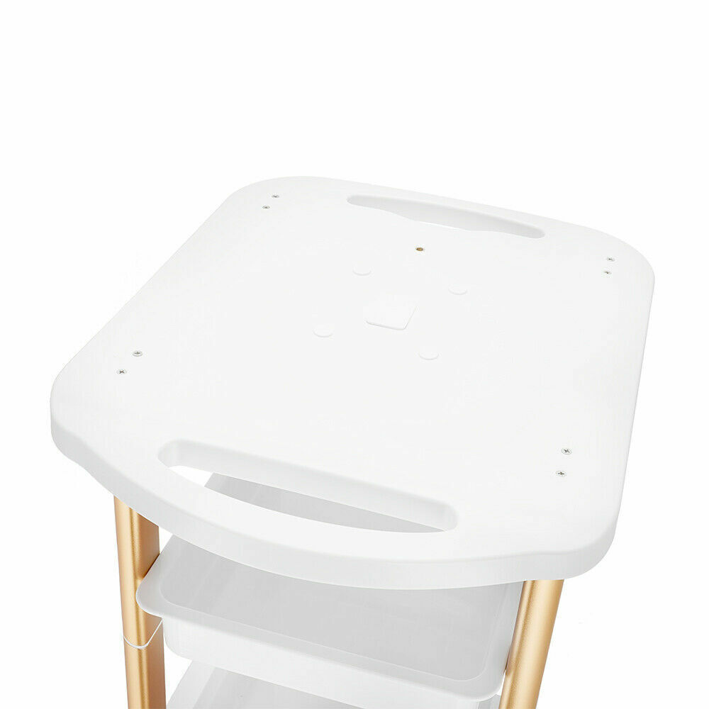 Rolling Trolley Cart Beauty Machine Salon SPA Organizer Stand Storage Equipment