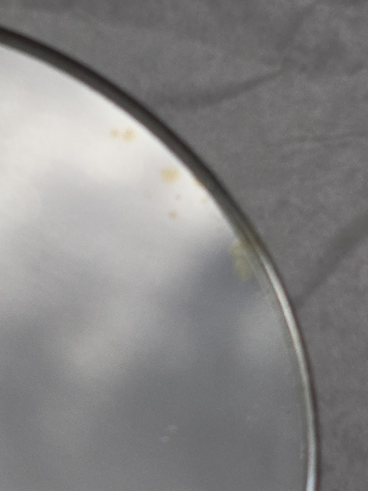 Vintage Microscope Substage Mirror [55mm(wide) x[7mm(thick) Replacement Part