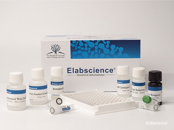 Mouse IL-1β(Interleukin 1 Beta) ELISA Kit. Not expired (2024-05-11)