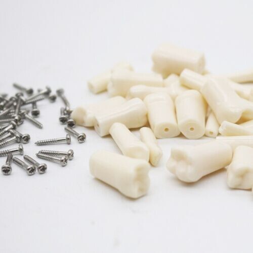 Dental Practice Typodont Teeth Model Removable Teeth 28 pcs Kilgore Nissin