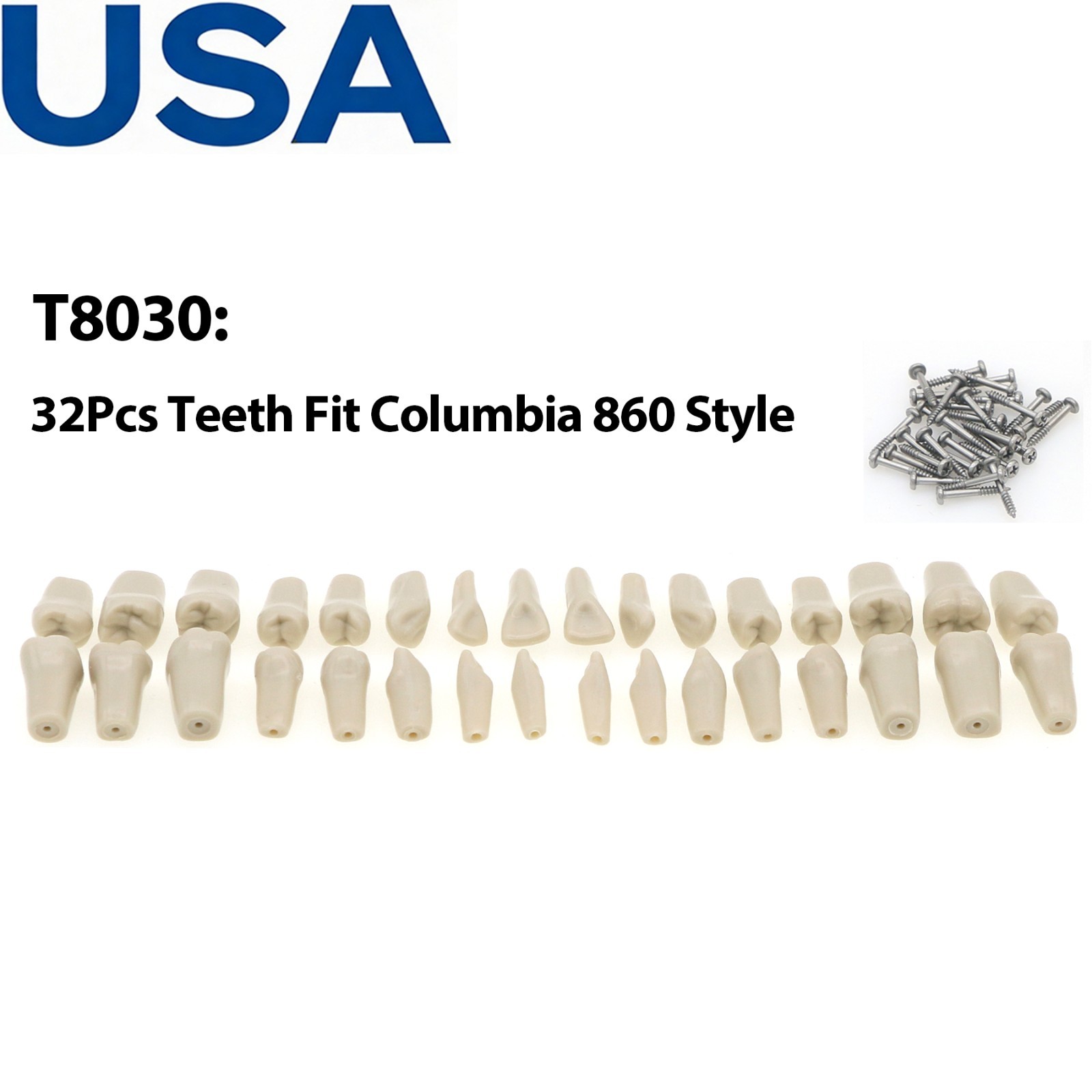 US Dental Typodont Teeth Model Mounting Pole Fit Columbia Kilgore Nissin Frasaco