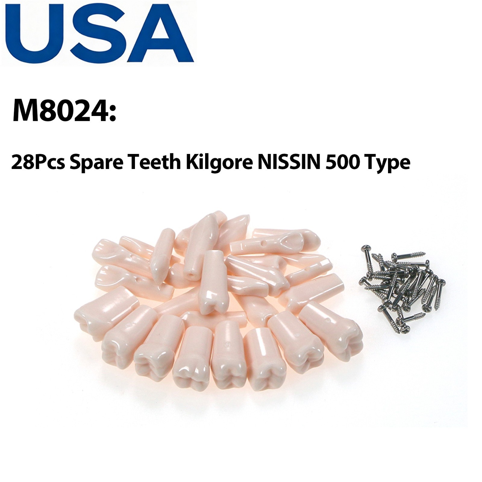 US Dental Typodont Teeth Model Mounting Pole Fit Columbia Kilgore Nissin Frasaco