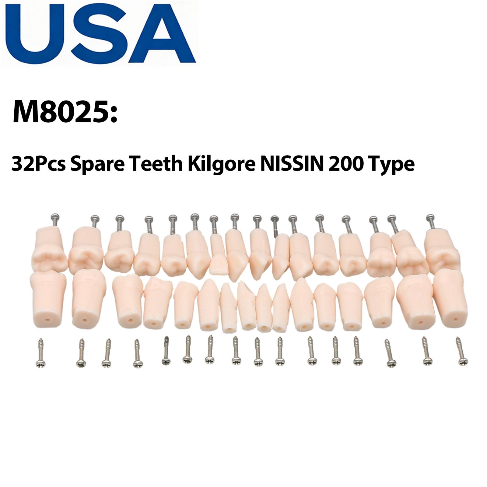 US Dental Typodont Teeth Model Mounting Pole Fit Columbia Kilgore Nissin Frasaco