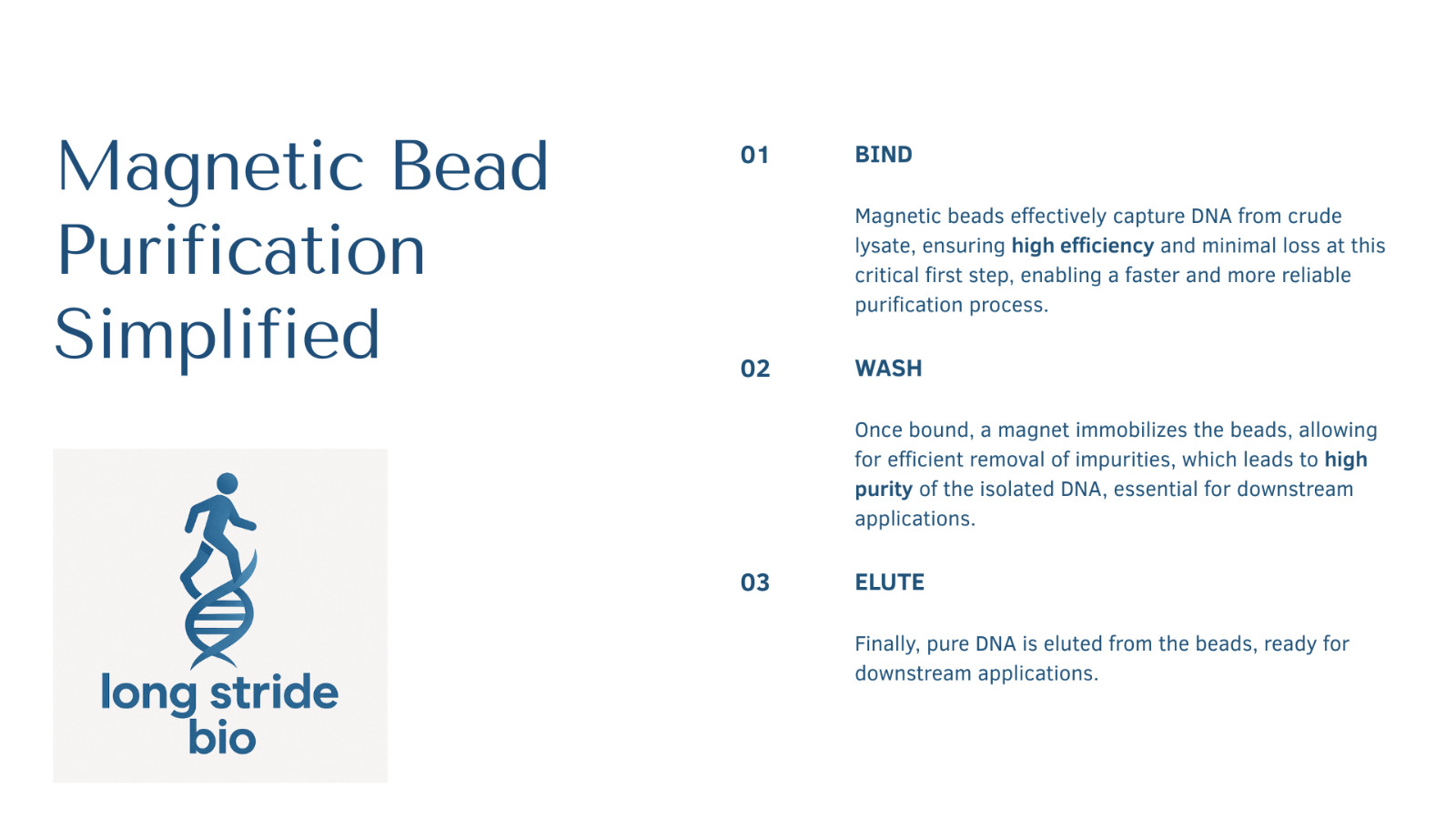 Magnetic Beads for DNA/RNA Purification – High-Efficiency Nucleic Acid Isolation