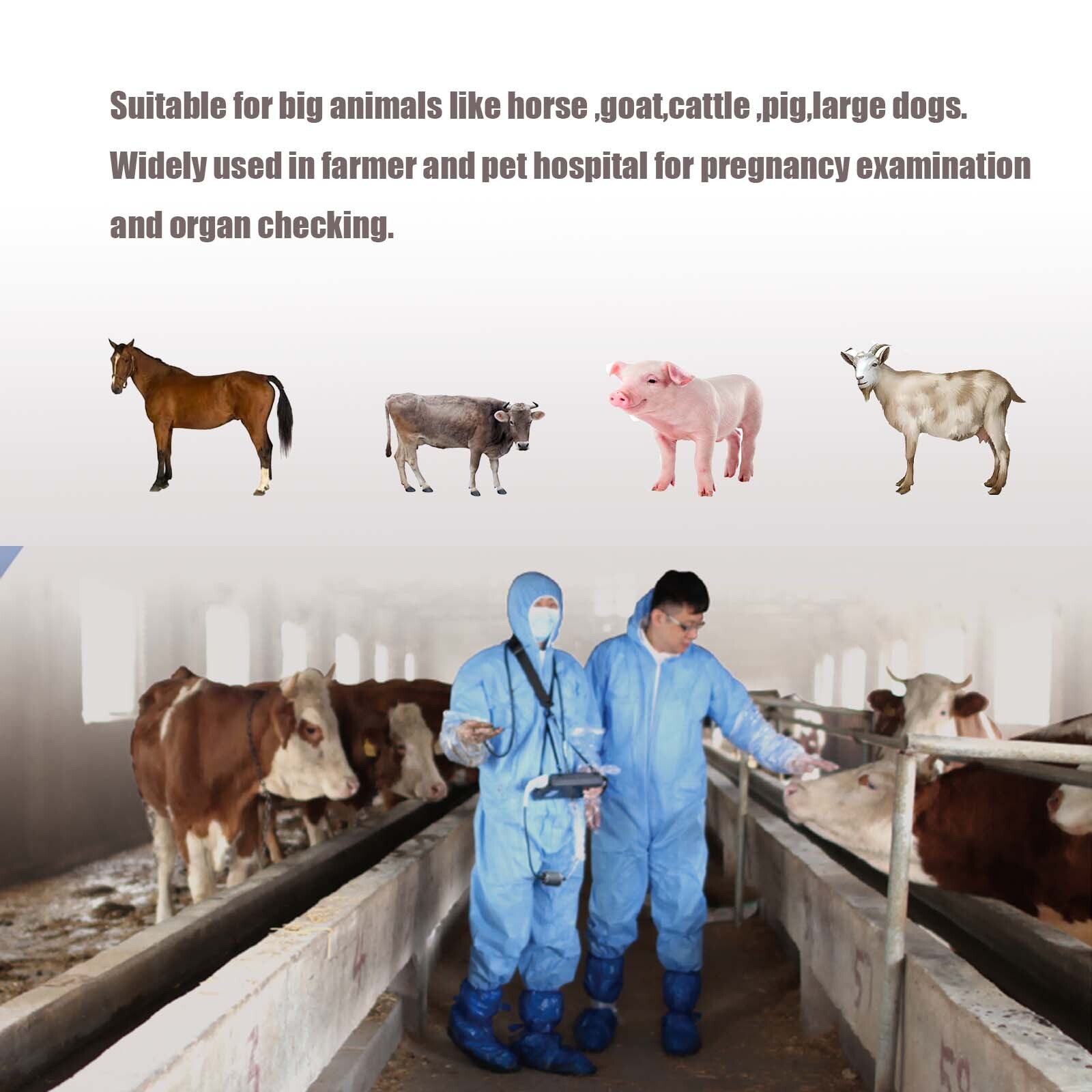 Dawei Portable Pet Ultrasound Handheld Veterinary Machine For Goat Cattle Horse