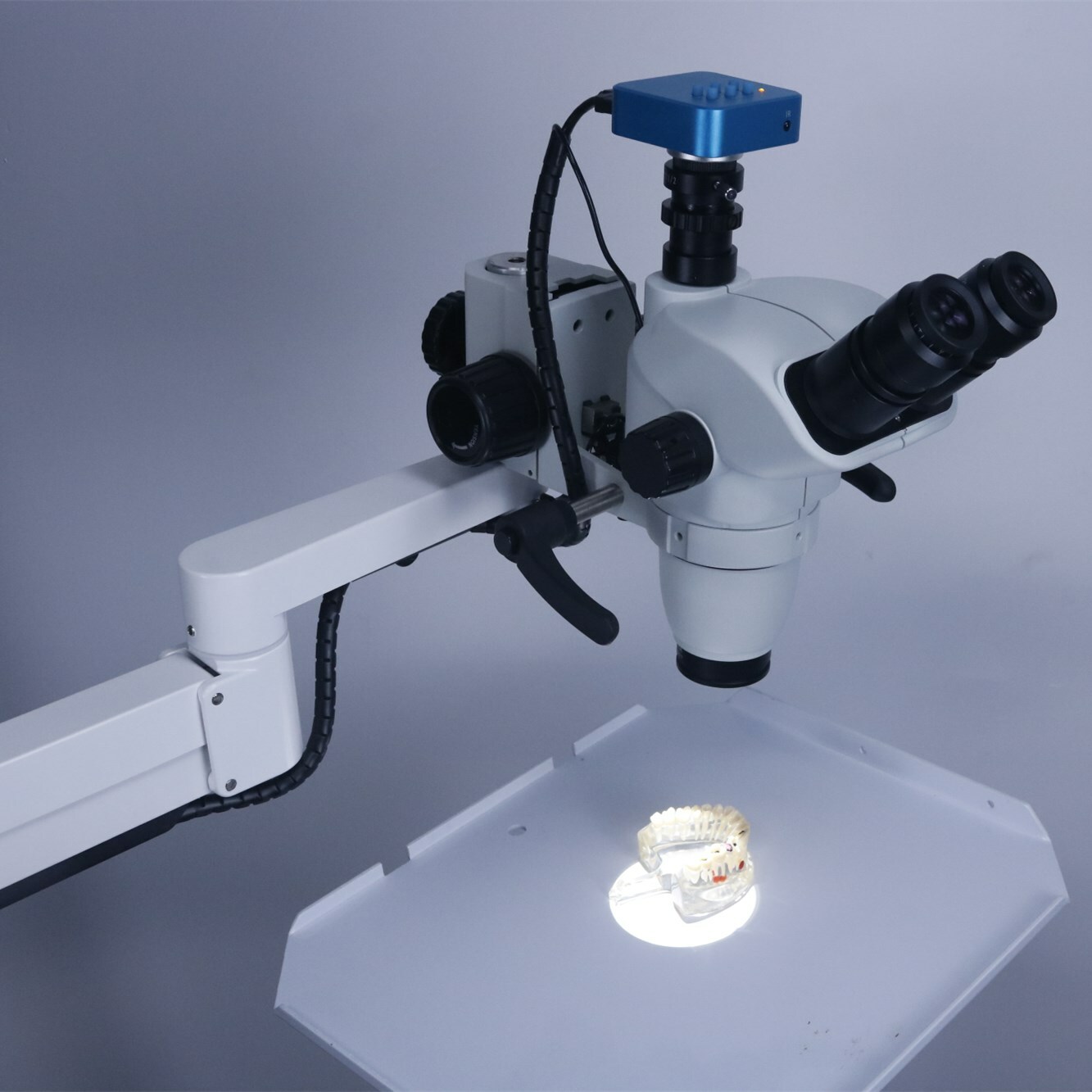 Dental Endo Surgical Operating Microscope in Endodontics for Dental Chair Unit