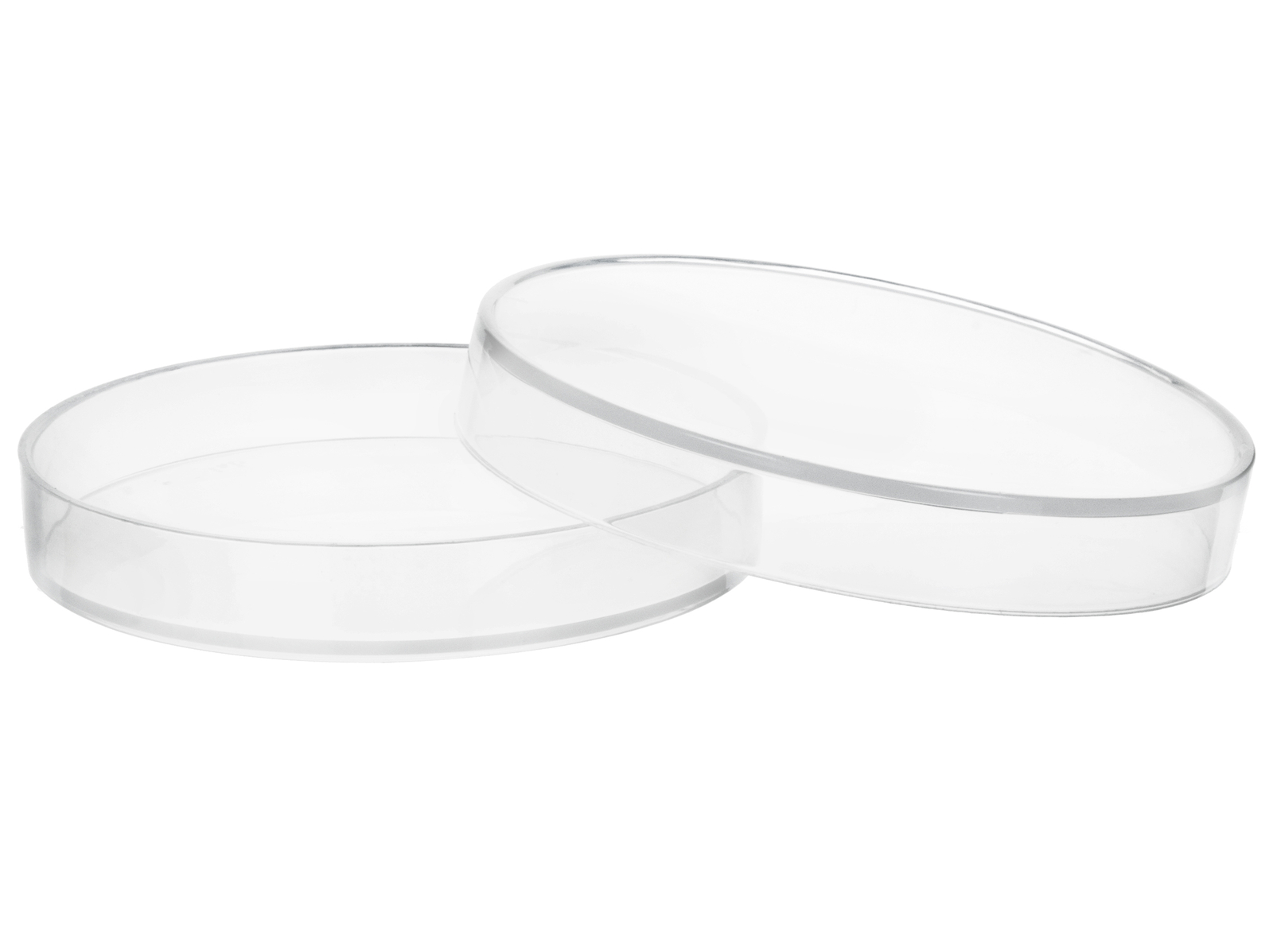 Eisco Labs Polypropylene Plastic Petri Dish, 6″ Diameter, 0.75″ Depth