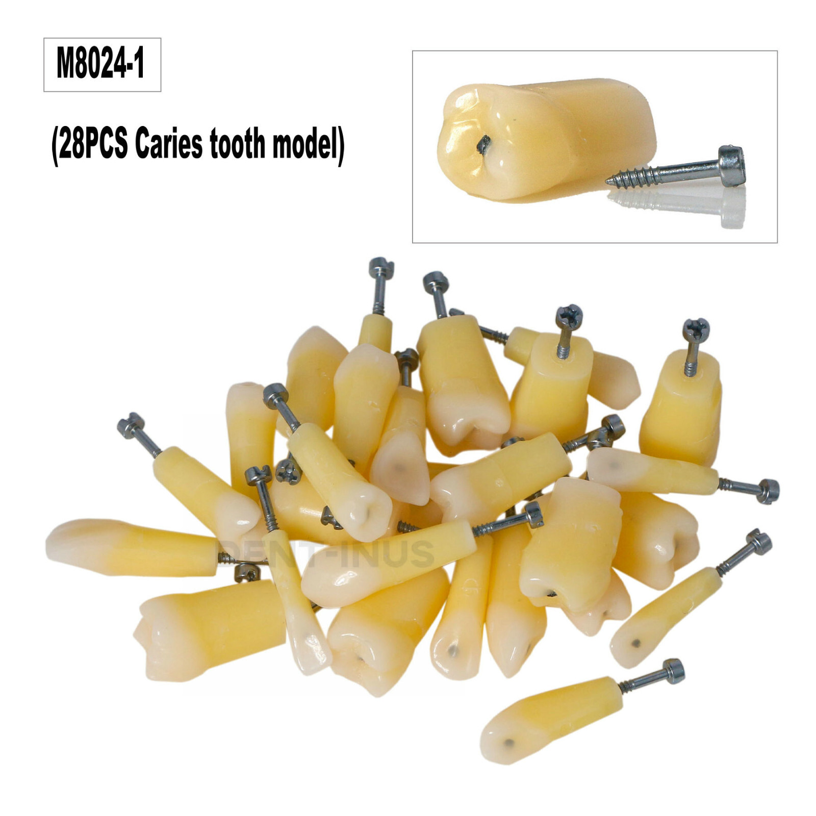 Dental Typodont Teeth Vitro Teeth with Caries Spots 28Pcs Fit Kilgore Nissin 200