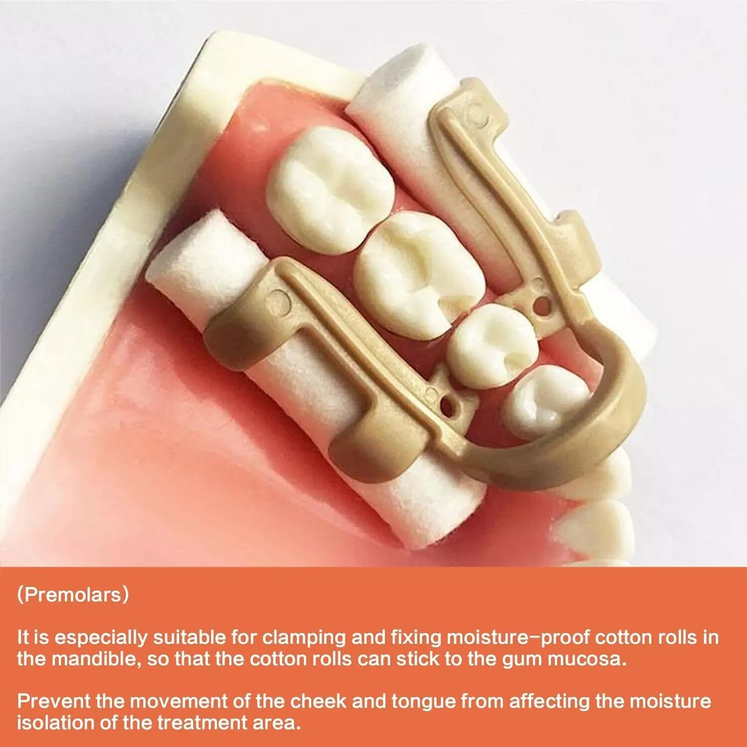4Pcs/Box Autoclavable Dental Premolar Molar Moisture Isolation Cotton Roll Clamp