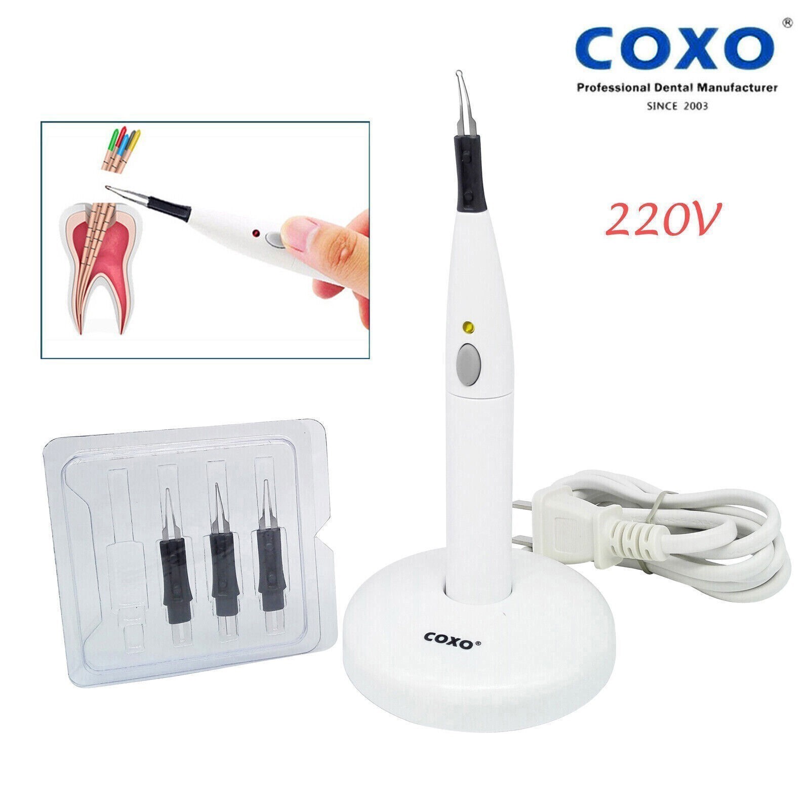 COXO Dental Endodontic Gutta Percha Cutter C Blade 110V 220V + 4 Tips 15#-80#