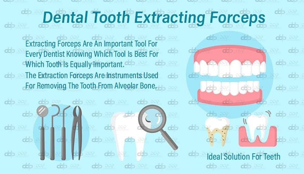 EXTRACTING FORCEPS # 222 DENTAL SURGICAL INSTRUMENTS