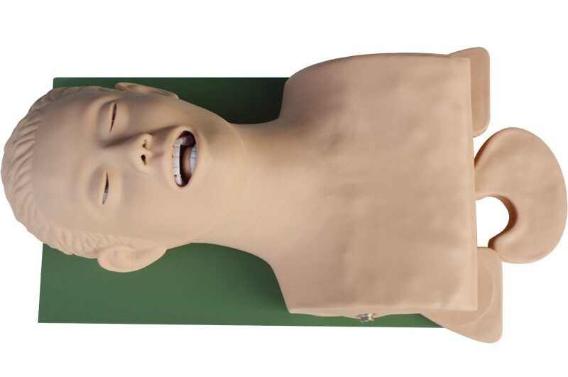Used Tracheal Intubation Training Teaching Model with Indicator 110V-220V