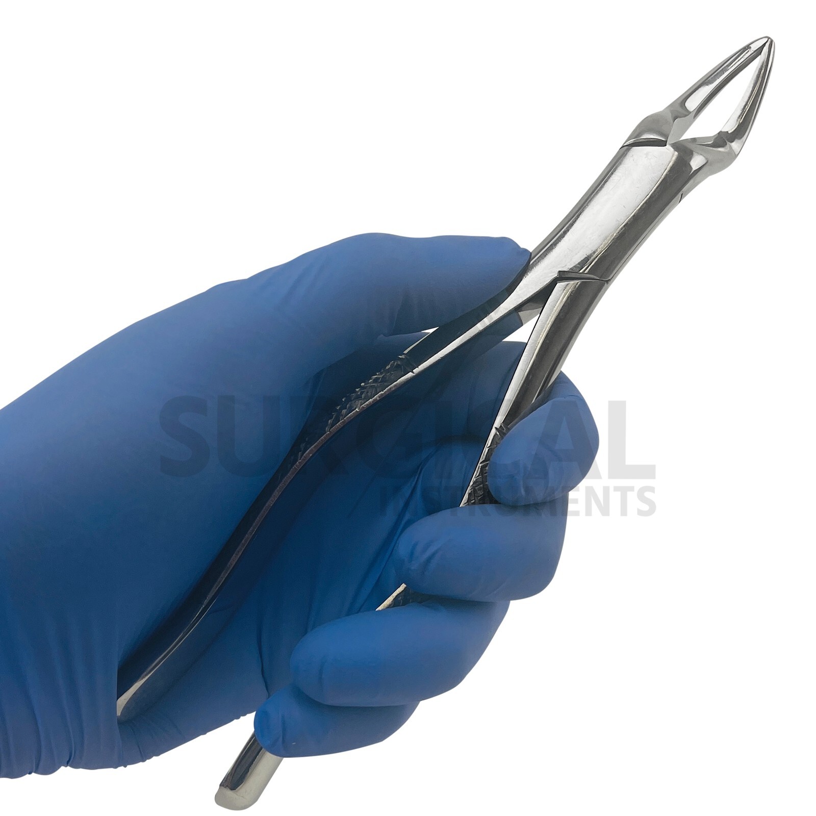 Extracting Forceps Dental Surgical Instruments 65 Stainless German Grade
