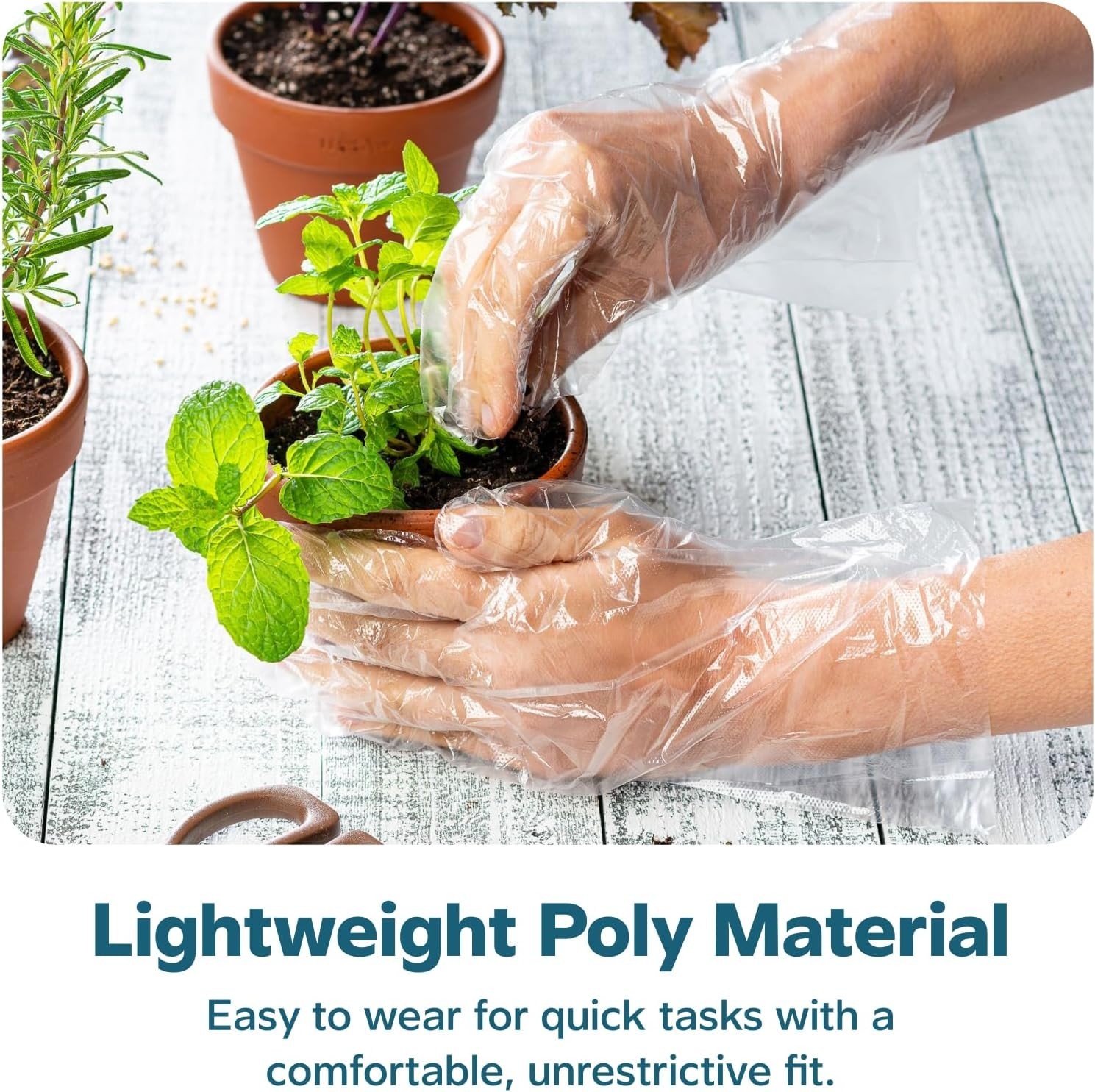 Disposable Poly Gloves Food Prep Cooking Food Service Clear Plastic Powder Free