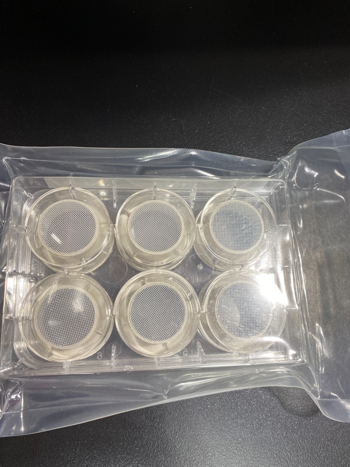 Corning Netwell Insert 440 um Membrane Diameter 24 mm Total of 48 Strainers