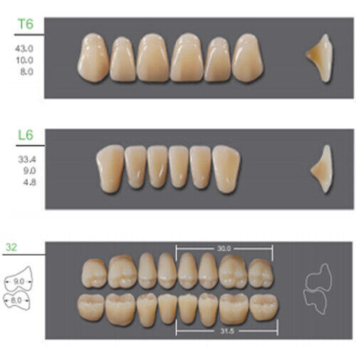 Huge Kaili Synthetic Polymer False Teeth Shade A4 Full Set: 28 teeth/set 4 sets