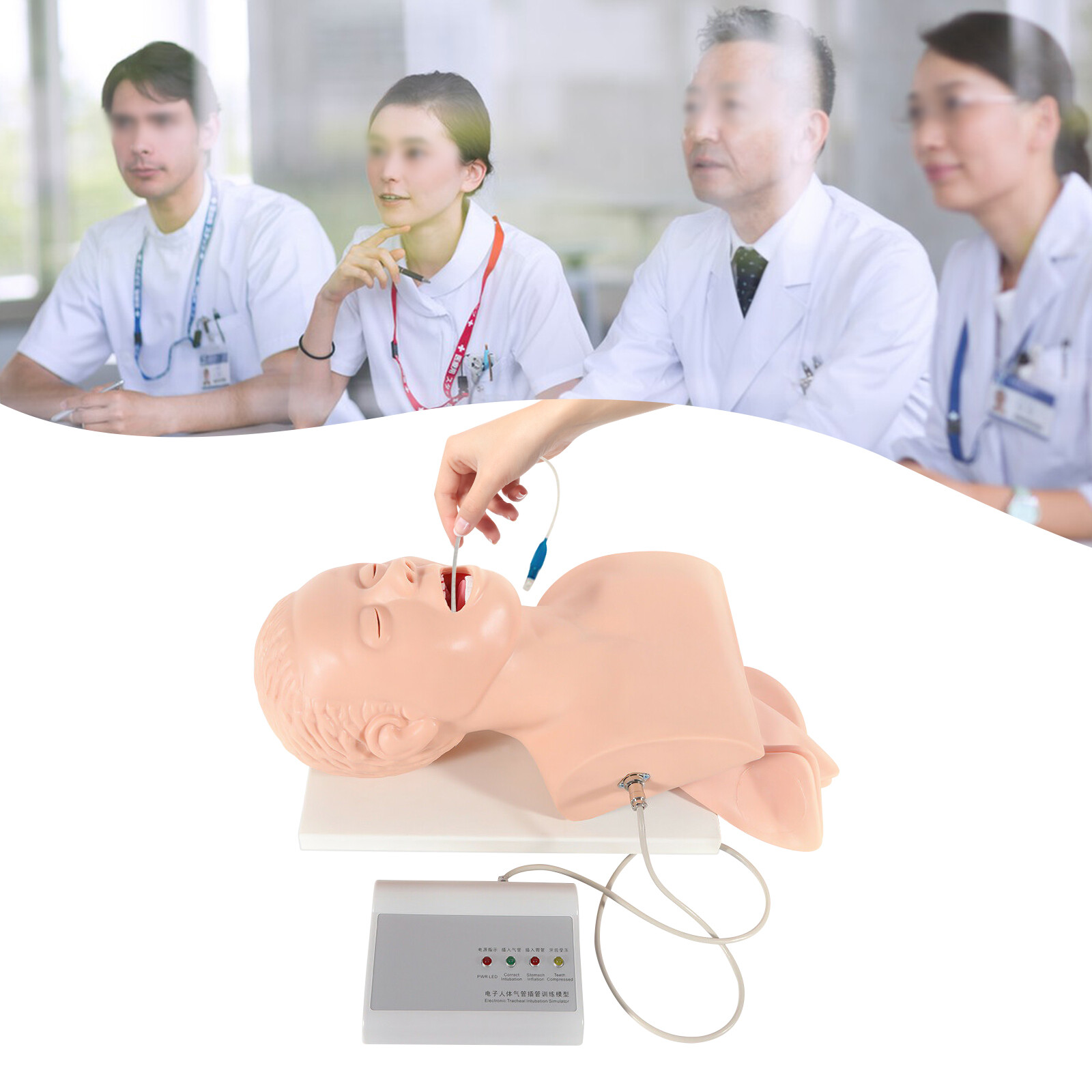 Adult Oral Nasal Intubation Training Operations & Teaching Demonstration Model