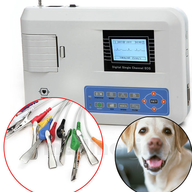 Vet Veterinary pet animal one channel 12 LEAD ECG/EKG Electrocardiograph ECG100G