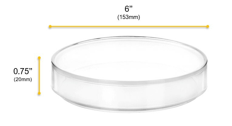 Eisco Labs Polypropylene Plastic Petri Dish, 6″ Diameter, 0.75″ Depth