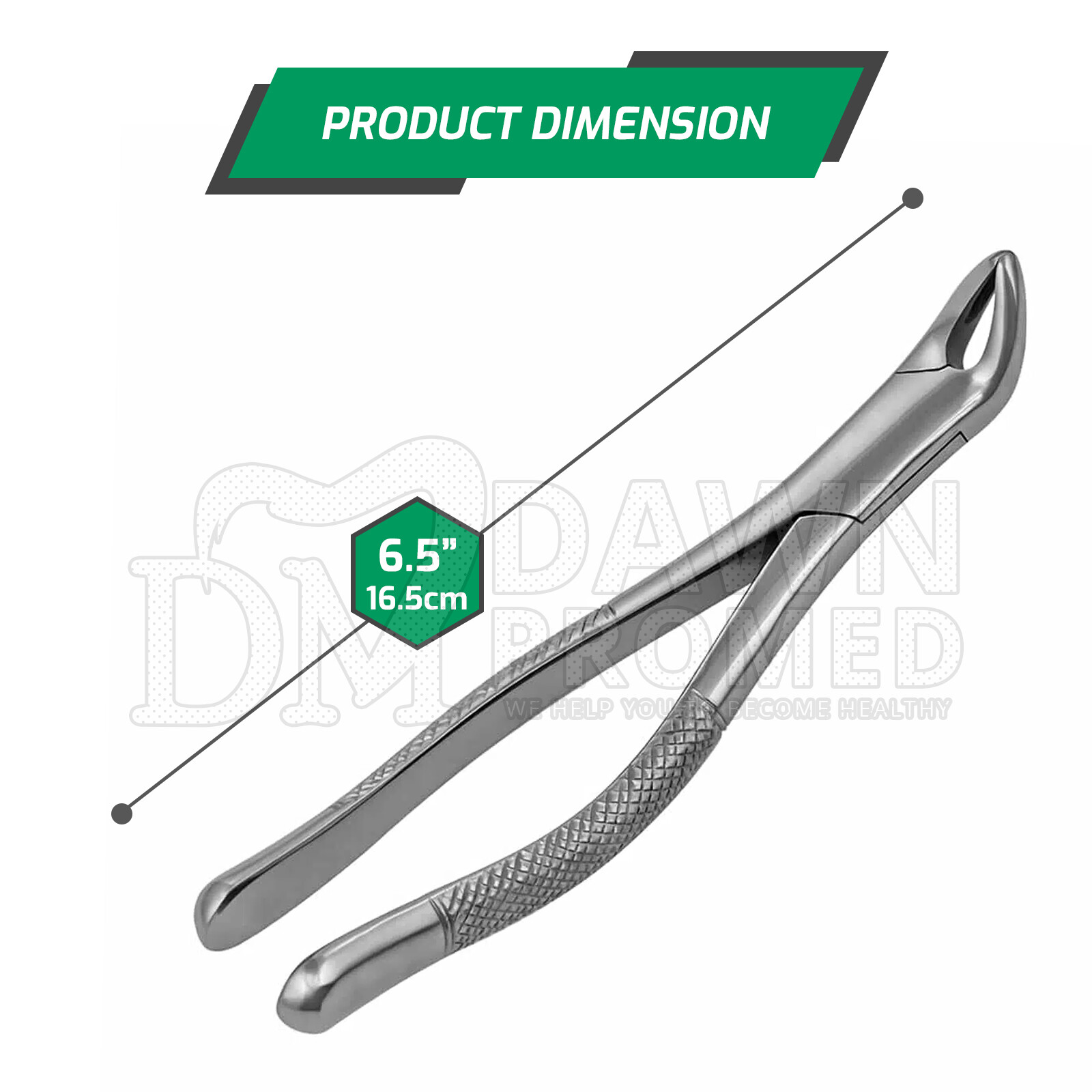 Dental Extracting Forceps #151 Serrated Lower Incisors Root Teeth German Grade